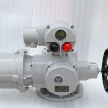揚(yáng)州市良工電動(dòng)閥門控制設(shè)備責(zé)任公司 工業(yè)自動(dòng)化的精準(zhǔn)驅(qū)動(dòng)者